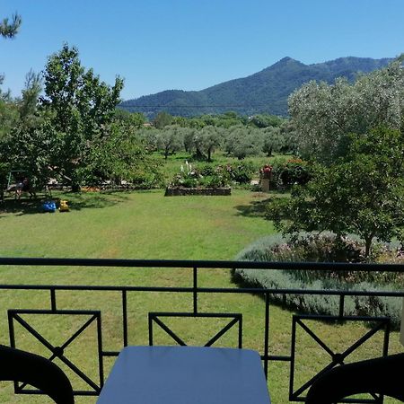 Nostos Studios Golden Beach Hriszí Amudiá Szoba fotó